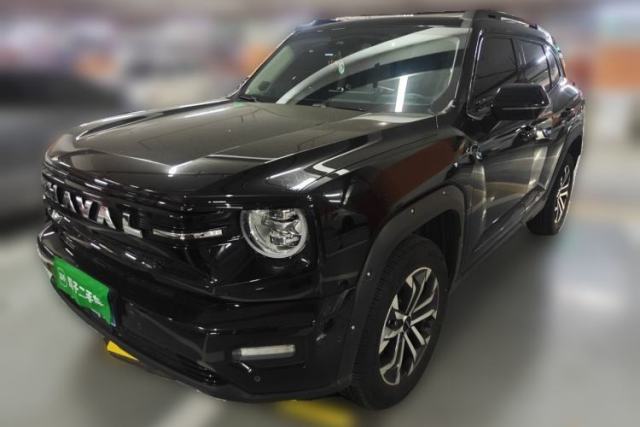 Used Haval H Dog 2026 Model 2.0T Trendy Wilderness Edition