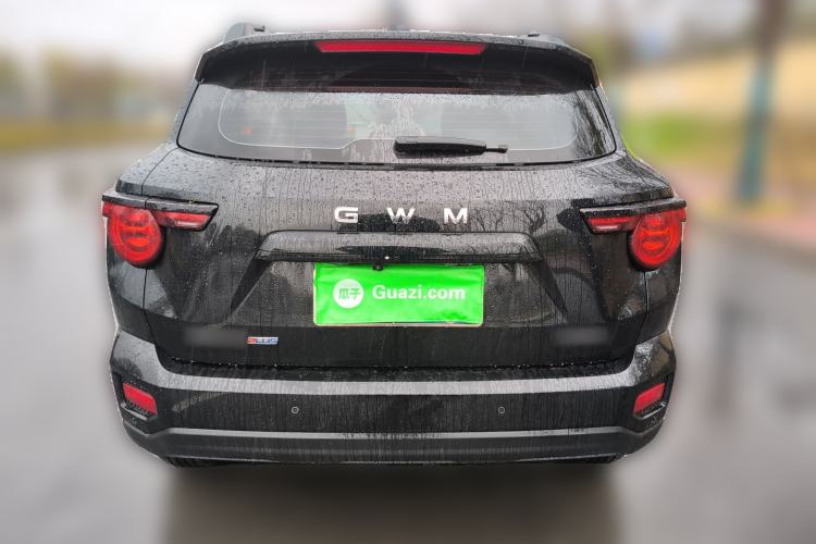 Used Haval H Dog 2026 Model 2.0T Trendy Wilderness Edition Rear