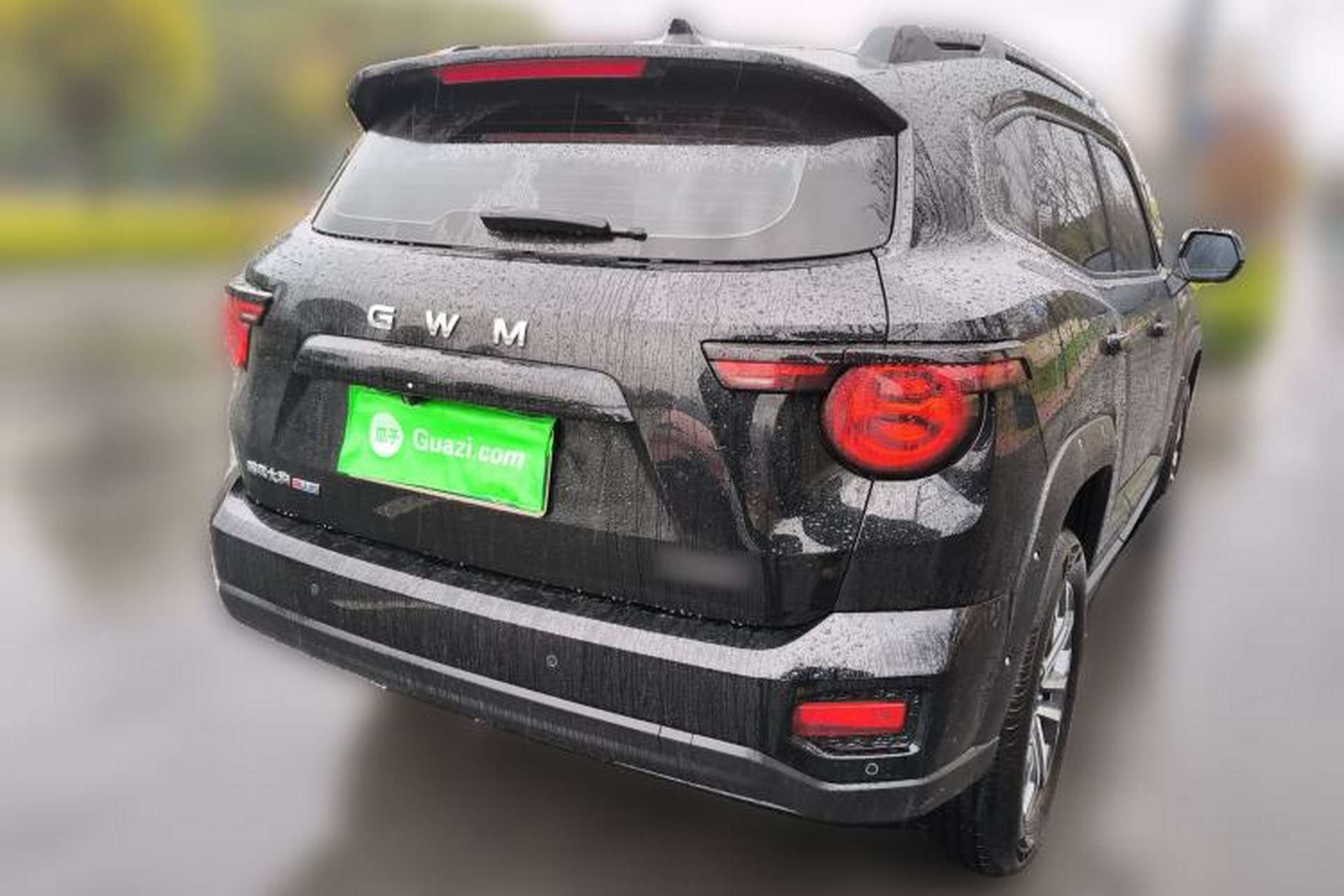 Used Haval H Dog 2026 Model 2.0T Trendy Wilderness Edition Rear Right 45 Deg