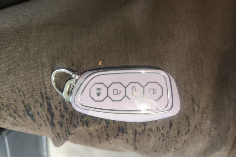 Used Haval H Dog 2026 Model 2.0T Trendy Wilderness Edition Vehicle Key