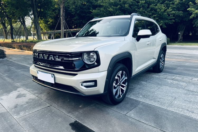 Haval H Dog 2026 Model 2.0T All-Wheel-Drive Trendy Wilderness Edition