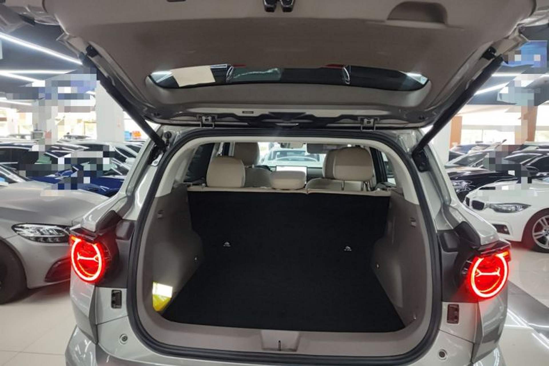 Used Haval H Dog 2026 Model 2.0T Trendy Wilderness Edition Trunk