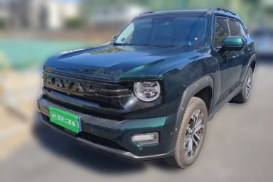 Used Haval H Dog 2026 Model 2.0T Trendy Wilderness Edition