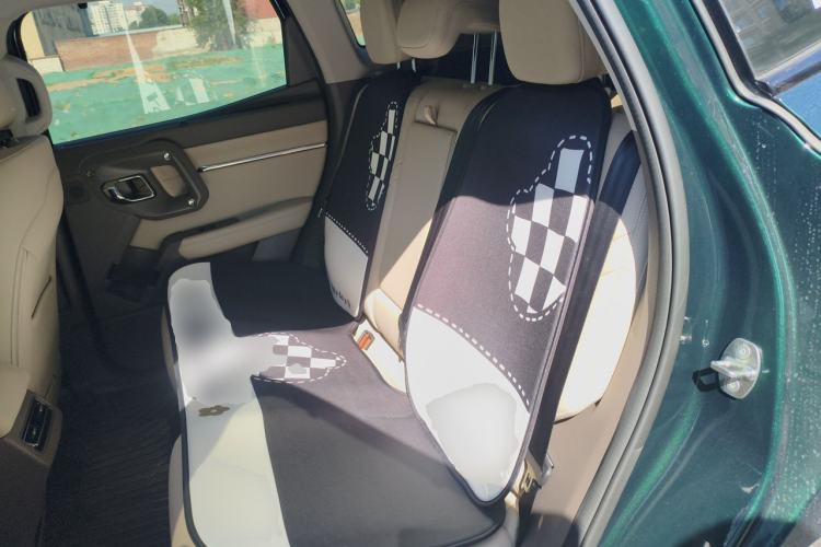 Used Haval H Dog 2026 Model 2.0T Trendy Wilderness Edition Left Rear Seat