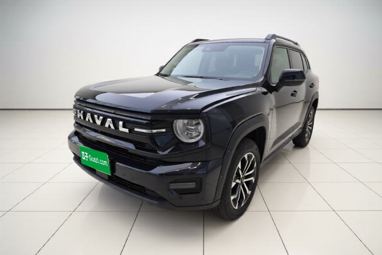 Haval H Dog 2026 Model 1.5T Trendy Fun Edition