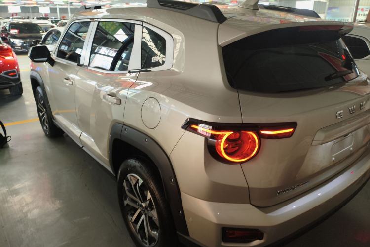 Used Haval H Dog 2026 Model 2.0T Trendy Wilderness Edition Exterior 3
