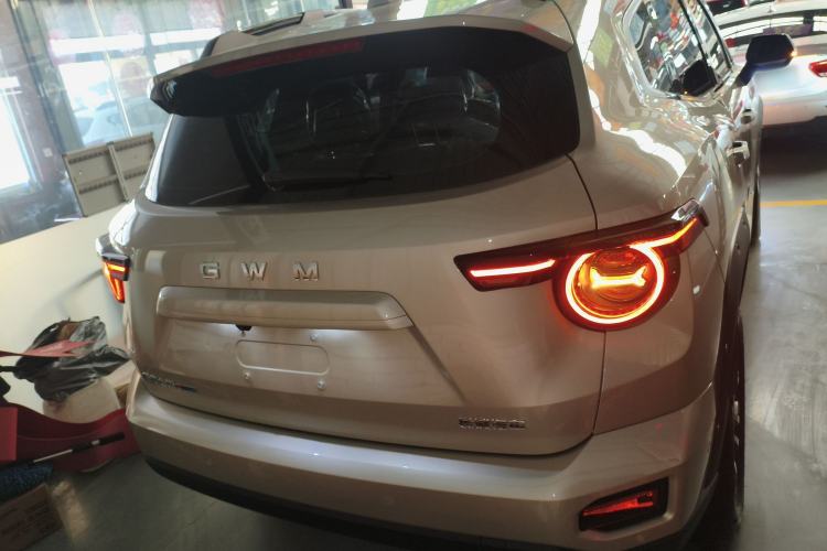 Used Haval H Dog 2026 Model 2.0T Trendy Wilderness Edition Exterior 4