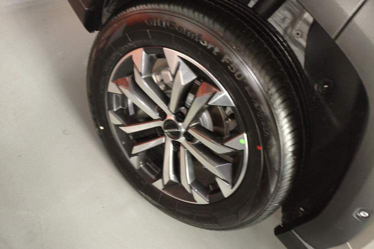 Used Haval H Dog 2026 Model 2.0T Trendy Wilderness Edition Exterior 8