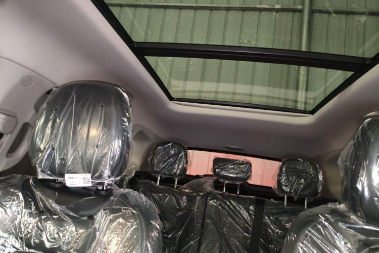 Used Haval H Dog 2026 Model 2.0T Trendy Wilderness Edition Headliner