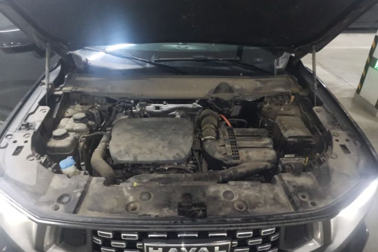 Used Haval H Dog New Energy 2023 DHT-PHEV 105km Tide Electric Version Plus Engine Bay