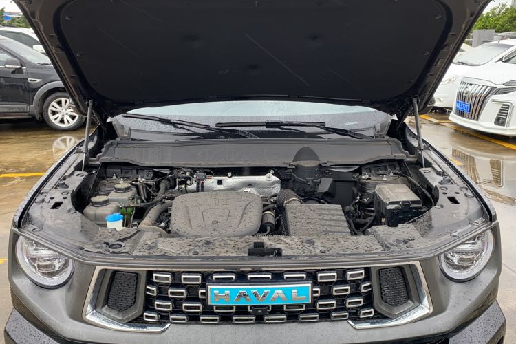 Used Haval H Dog New Energy 2024 Hi4 102km Trend Electric Version Plus Engine Bay