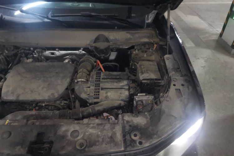 Used Haval H Dog New Energy 2023 DHT-PHEV 105km Tide Electric Version Plus Engine Bay Left