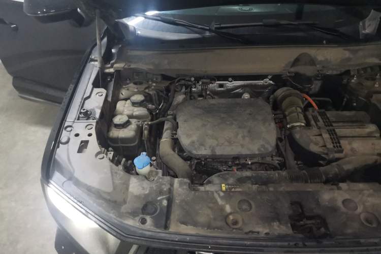 Used Haval H Dog New Energy 2023 DHT-PHEV 105km Tide Electric Version Plus Engine Bay Right
