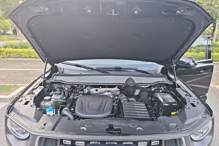 Used Haval H Dog New Energy 2024 Hi4 102km Trend Electric Version Plus Engine Bay