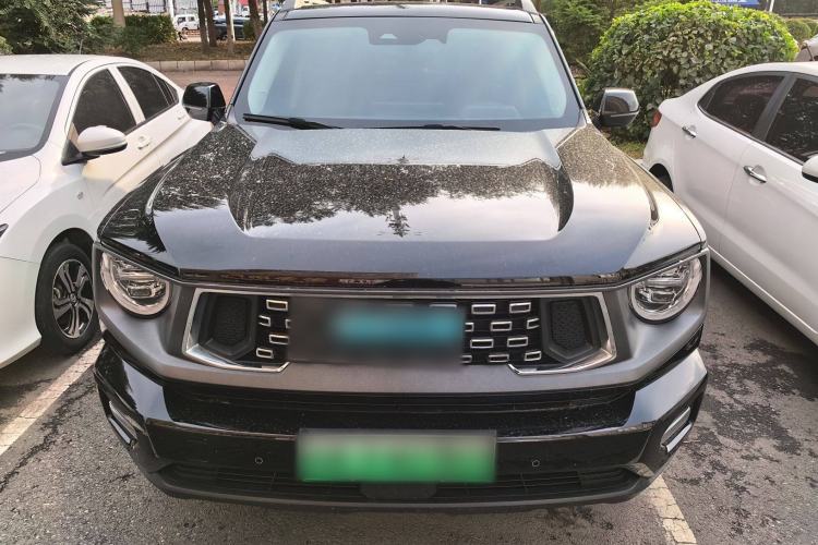 Used Haval H Dog New Energy 2024 Hi4 102km Trend Electric Version Plus Exterior 1