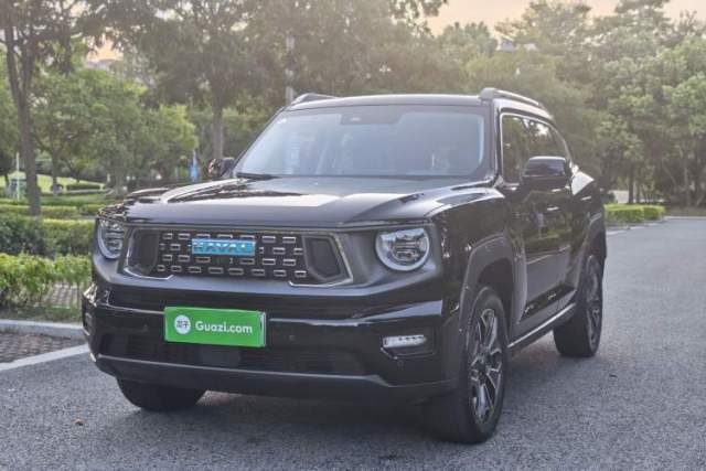 Haval H Dog New Energy 2024 Hi4 102km Trend Electric Version Plus usata