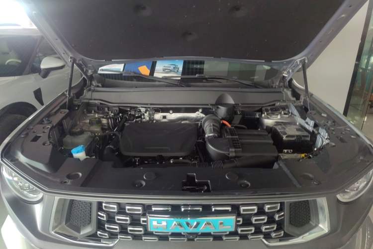 Used Haval H Dog New Energy 2023 DHT-PHEV 105km Tide Electric Version Plus Engine Bay