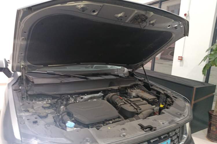 Used Haval H Dog New Energy 2023 DHT-PHEV 105km Tide Electric Version Plus Engine Bay