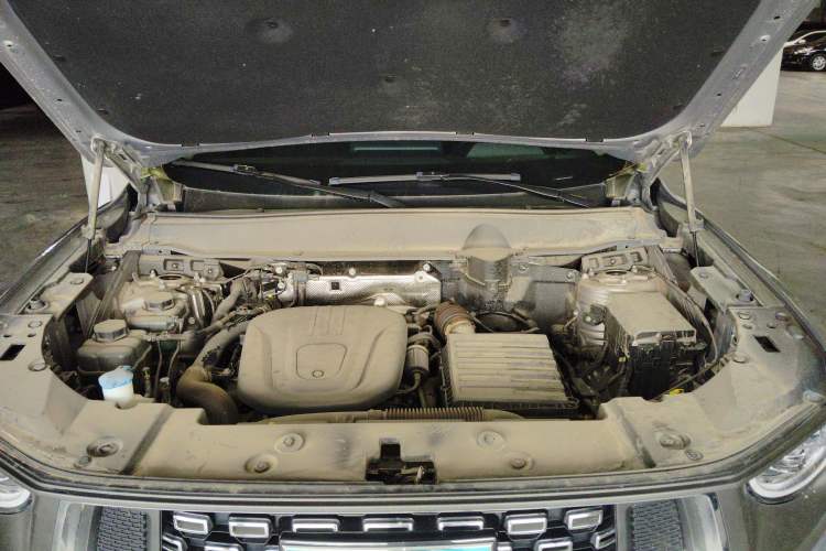 Used Haval H Dog New Energy 2024 Hi4 102km Trend Electric Version Plus Engine Bay