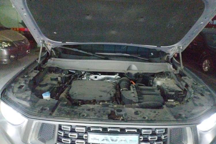 Used Haval H Dog New Energy 2023 DHT-PHEV 105km Tide Electric Version Plus Engine Bay