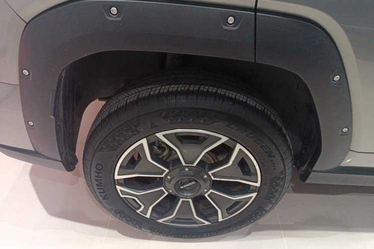 Used Haval H Dog New Energy 2023 DHT-PHEV 105km Tide Electric Version Plus Exterior 8