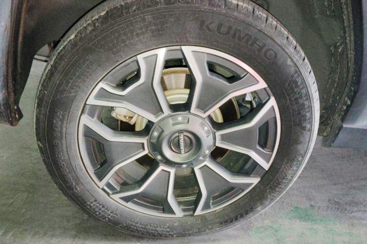 Used Haval H Dog New Energy 2024 Hi4 102km Trend Electric Version Plus Exterior 8