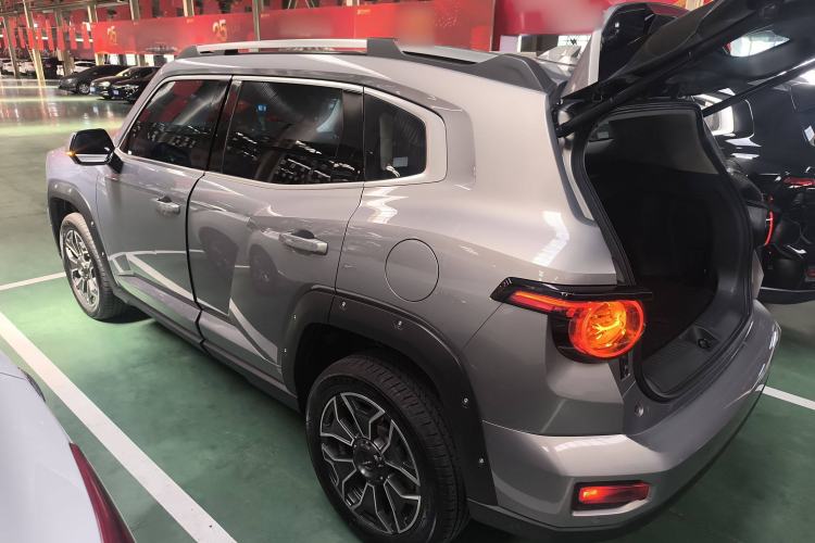 Used Haval H Dog New Energy 2023 DHT-PHEV 105km Tide Electric Version Plus Left Side