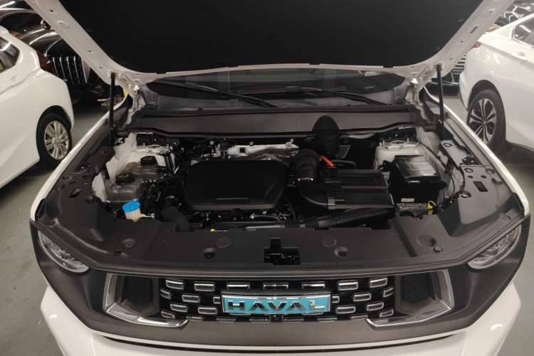 Used Haval H Dog New Energy 2023 DHT-PHEV 105km Tide Electric Version Plus Engine Bay