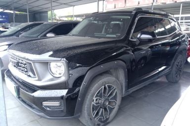Used Haval H Dog New Energy 2023 DHT-PHEV 105km Tide Electric Version Plus