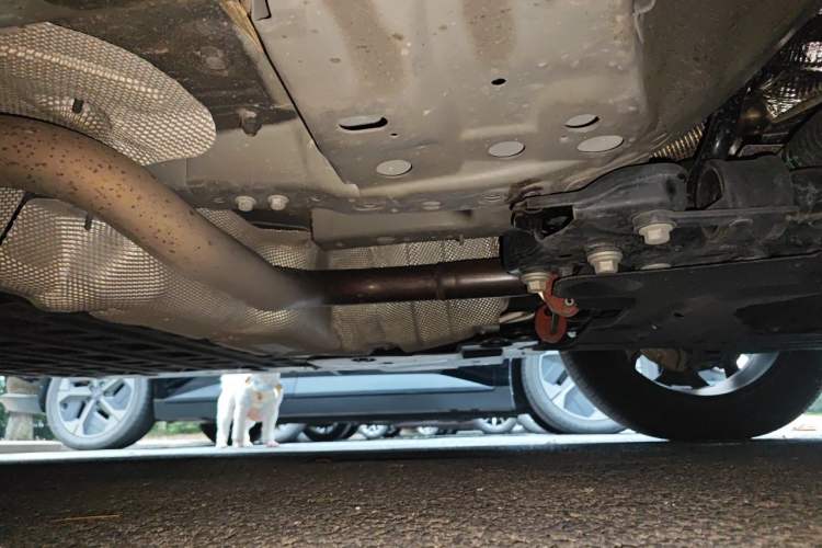 Used Haval H Dog New Energy 2023 DHT-PHEV 105km Trend Electric Edition Chassis Front Right