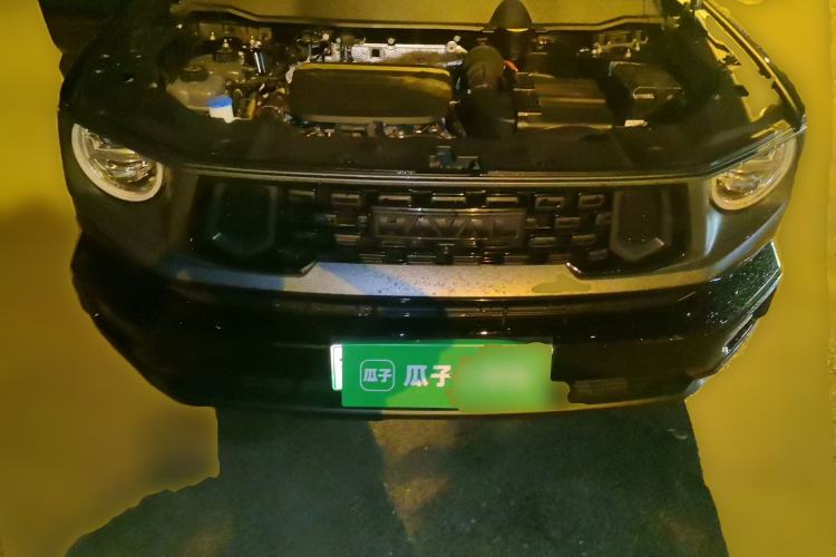 Used Haval H Dog New Energy 2023 DHT-PHEV 105km Tide Electric Version Plus Engine Bay