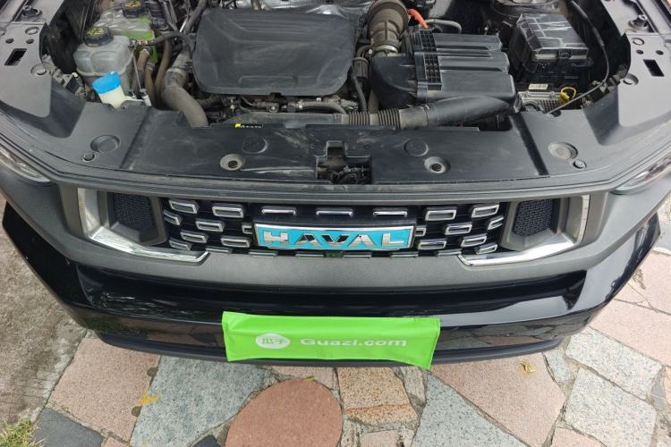 Used Haval H Dog New Energy 2023 DHT-PHEV 105km Tide Electric Version Plus Engine Bay