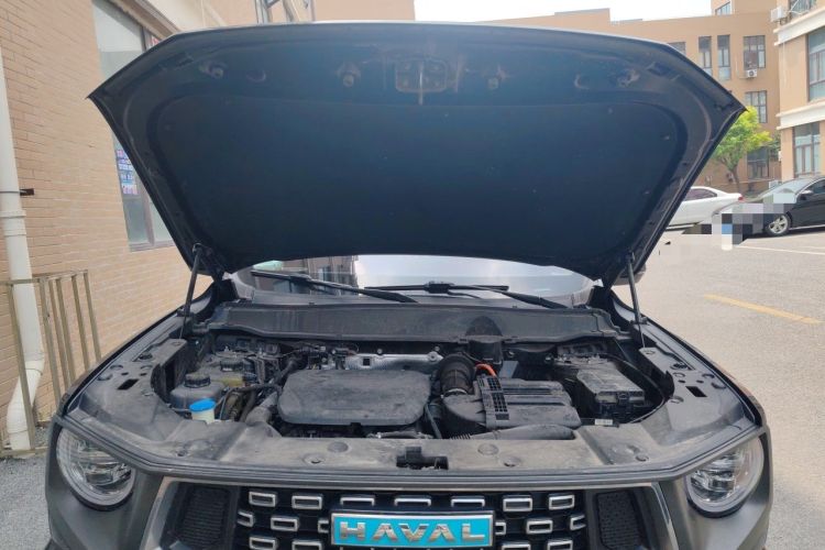 Used Haval H Dog New Energy 2023 DHT-PHEV 105km Tide Electric Version Plus Engine Bay