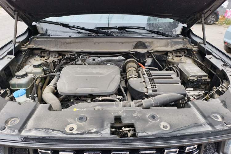 Used Haval H Dog New Energy 2023 DHT-PHEV 105km Tide Electric Version Plus Engine Bay