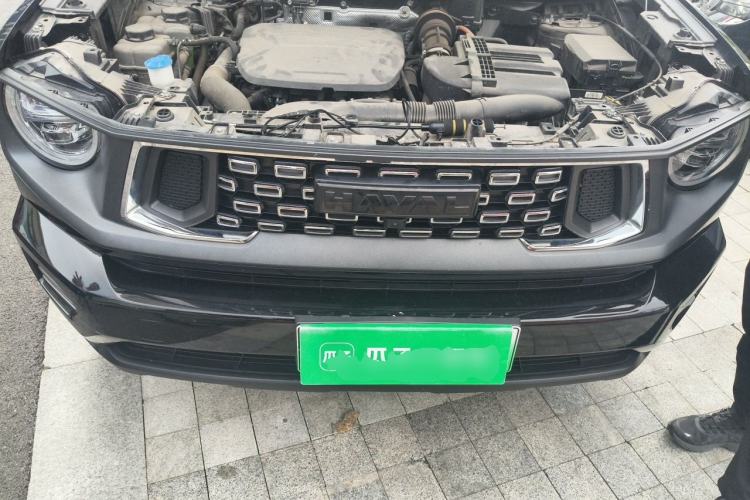 Used Haval H Dog New Energy 2023 DHT-PHEV 105km Tide Electric Version Plus Engine Bay