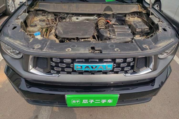 Used Haval H Dog New Energy 2023 DHT-PHEV 105km Tide Electric Version Plus Engine Bay