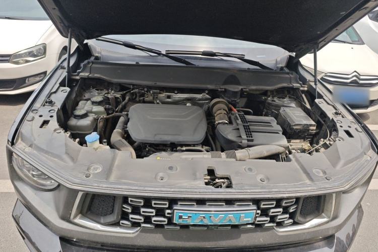 Used Haval H Dog New Energy 2023 DHT-PHEV 105km Tide Electric Version Plus Engine Bay