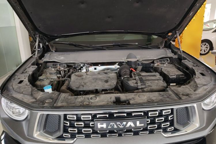 Used Haval H Dog New Energy 2023 DHT-PHEV 105km Tide Electric Version Plus Engine Bay