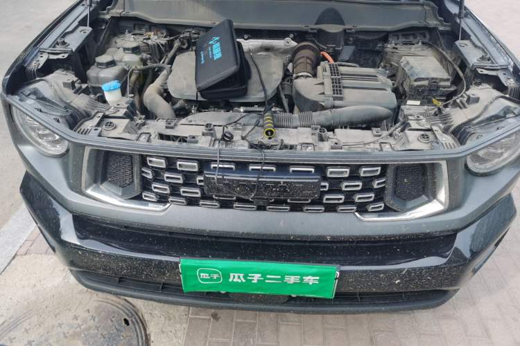 Used Haval H Dog New Energy 2023 DHT-PHEV 105km Tide Electric Version Plus Engine Bay