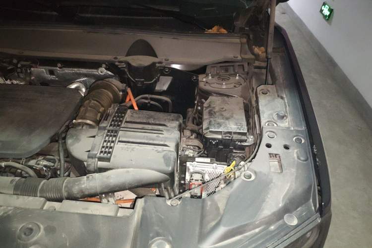 Used Haval H Dog New Energy 2023 DHT-PHEV 105km Tide Electric Version Plus Engine Bay Left