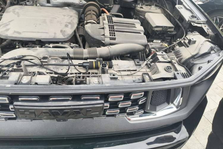 Used Haval H Dog New Energy 2023 DHT-PHEV 105km Tide Electric Version Plus Engine Bay Left