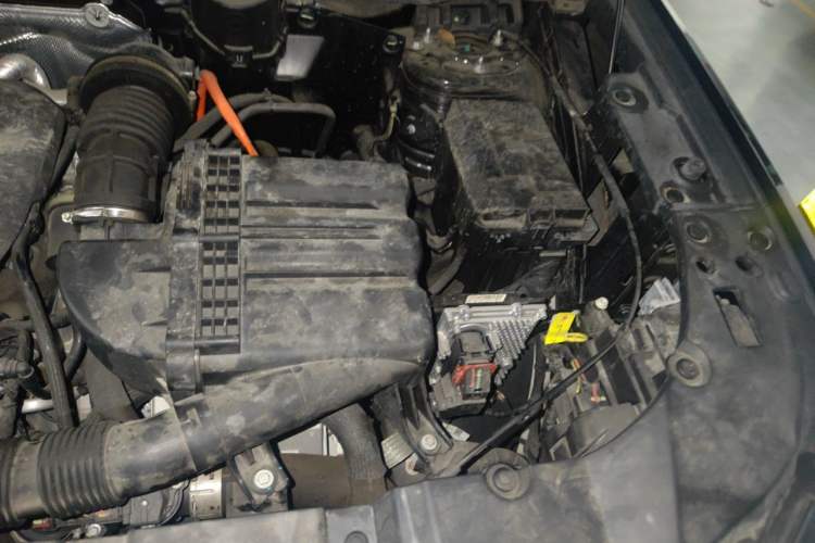Used Haval H Dog New Energy 2023 DHT-PHEV 105km Tide Electric Version Plus Engine Bay Left
