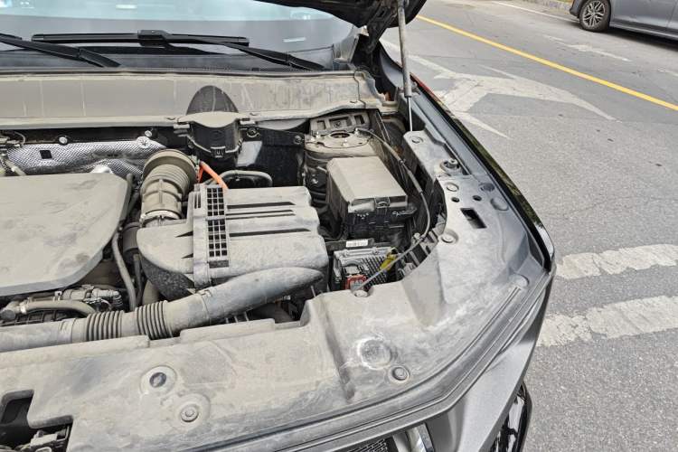 Used Haval H Dog New Energy 2023 DHT-PHEV 105km Tide Electric Version Plus Engine Bay Left