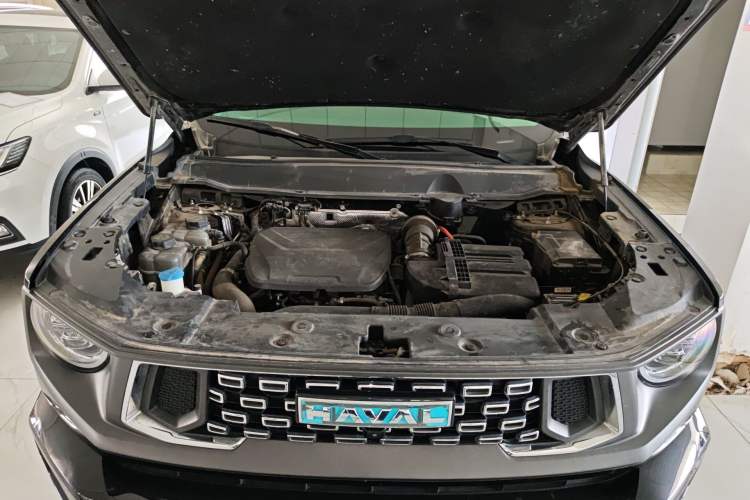 Used Haval H Dog New Energy 2023 DHT-PHEV 105km Tide Electric Version Plus Engine Bay
