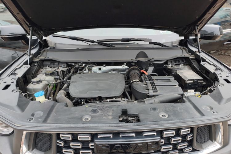 Used Haval H Dog New Energy 2023 DHT-PHEV 105km Tide Electric Version Plus Engine Bay