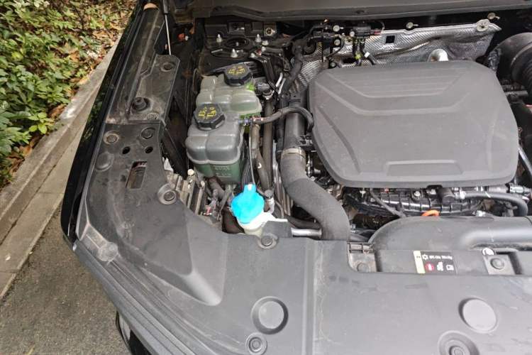 Used Haval H Dog New Energy 2023 DHT-PHEV 105km Trend Electric Edition Engine Bay Right