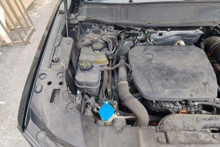 Used Haval H Dog New Energy 2023 DHT-PHEV 105km Tide Electric Version Plus Engine Bay Right