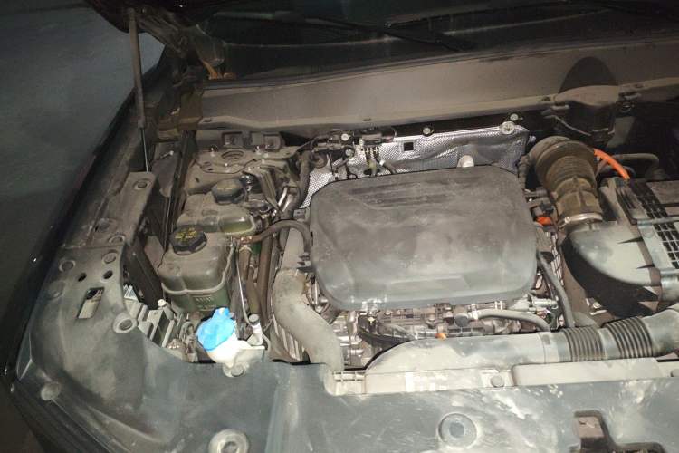 Used Haval H Dog New Energy 2023 DHT-PHEV 105km Tide Electric Version Plus Engine Bay Right