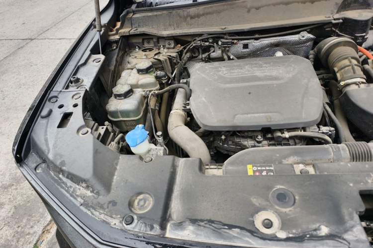 Used Haval H Dog New Energy 2023 DHT-PHEV 105km Tide Electric Version Plus Engine Bay Right