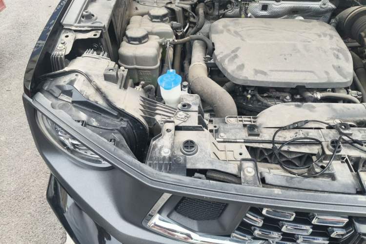 Used Haval H Dog New Energy 2023 DHT-PHEV 105km Tide Electric Version Plus Engine Bay Right